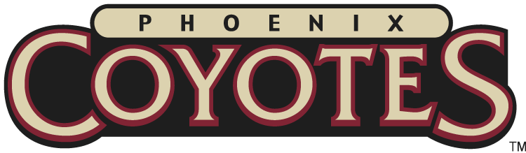 Phoenix Coyotes 2003-2008 Wordmark Logo t shirts iron on transfers